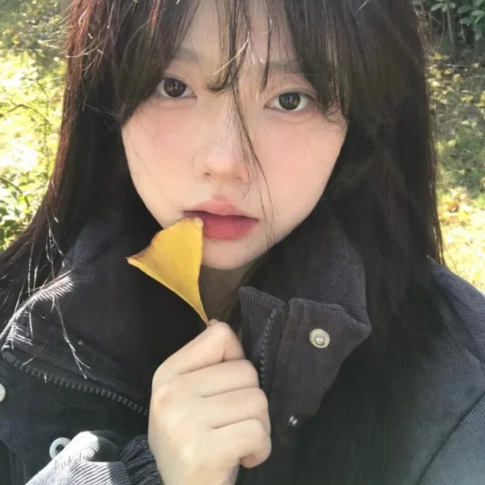 矮精灵历险记